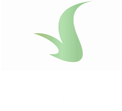 VinES